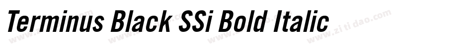 Terminus Black SSi Bold Italic字体转换